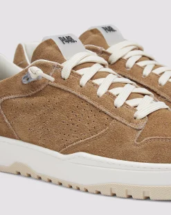 P448 Low Tops><noscript><img width=