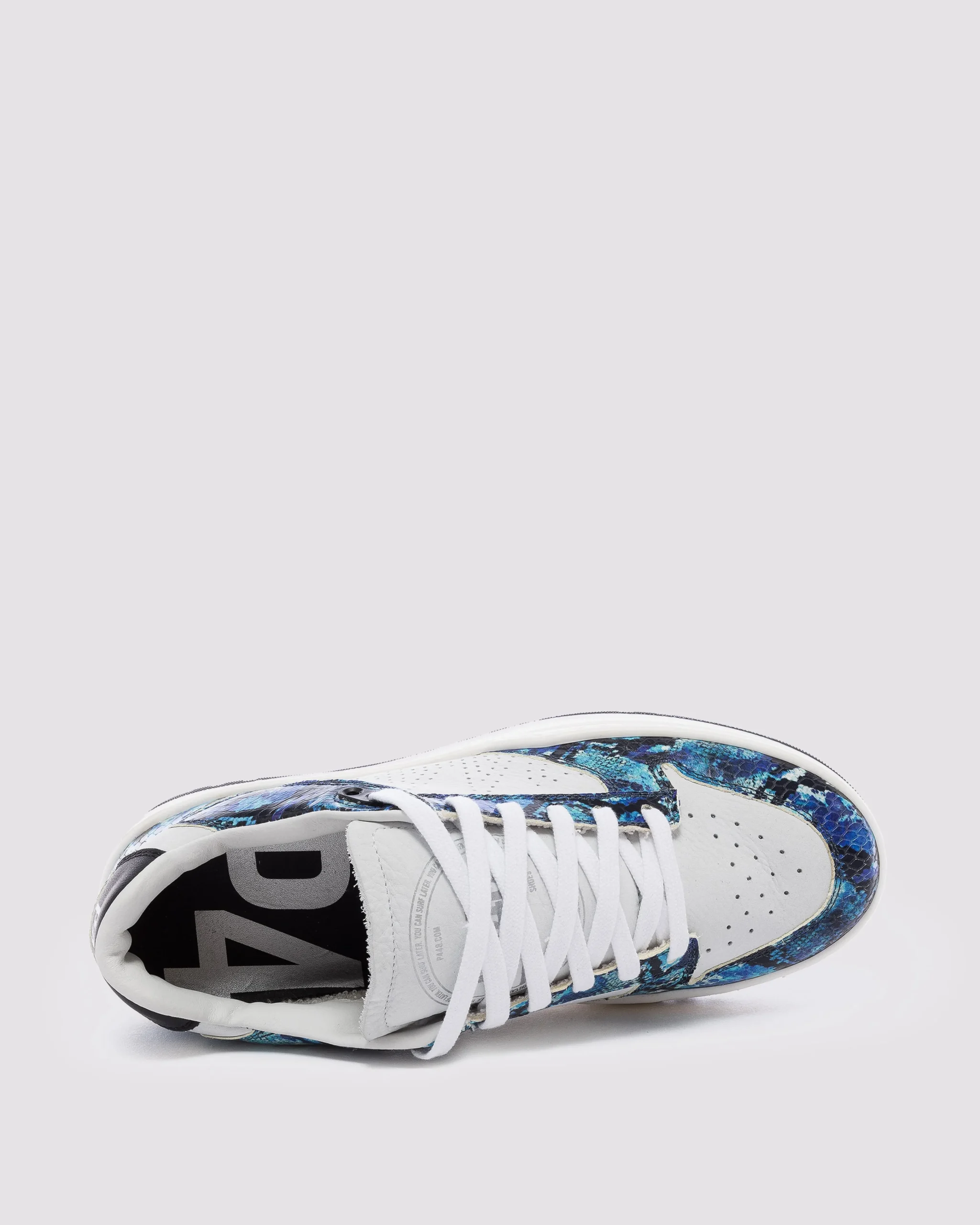 Women P448 Low Tops>Mason Splash