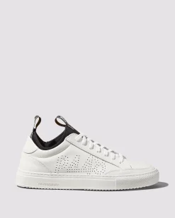 Women P448 Low Tops|Low Tops>Sohosocks