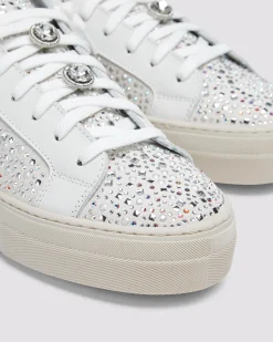 Women P448 Platforms|Low Tops><noscript><img width=