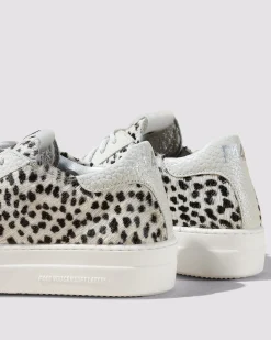 Women P448 Platforms|Low Tops><noscript><img width=