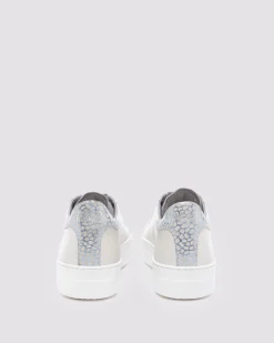 Women P448 Platforms|Low Tops><noscript><img width=